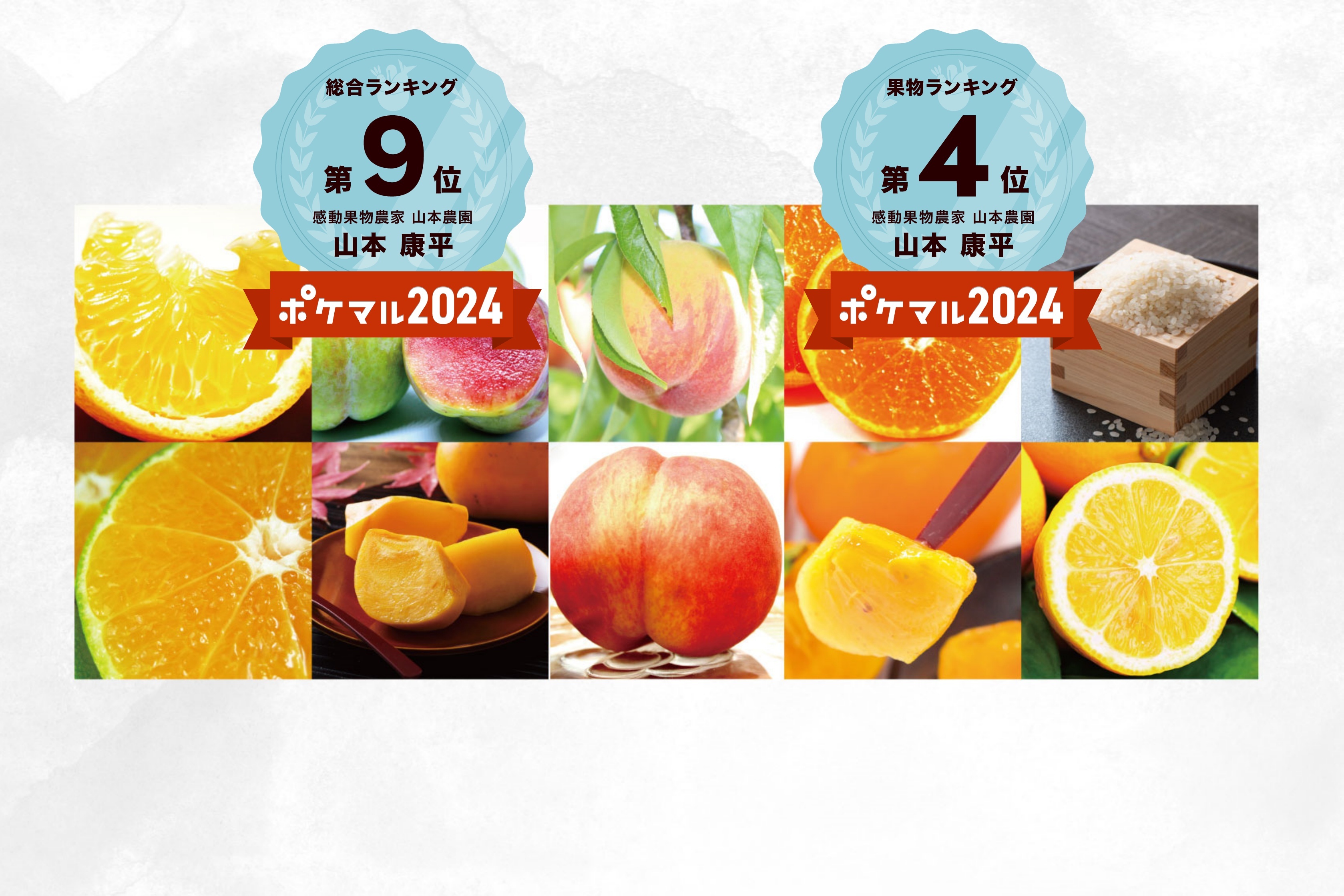 秋物出品予定 熊本県産 プレミアム 太秋柿 約2.5kg 【2026年10月上旬発送開始