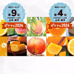 【定期便初心者向け】【前編】山本農園【年間１０回お届け】