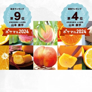 【定期便初心者向け】【前編】山本農園【年間１０回お届け】