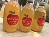 【無添加・無加水】果汁100％ りんごジュース 300ml 12本