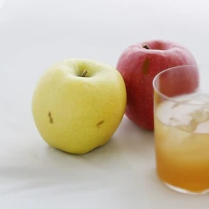ジュース用・加工用りんご 特別貯蔵スマートフレッシュ 規格外りんごがお買い得！ 