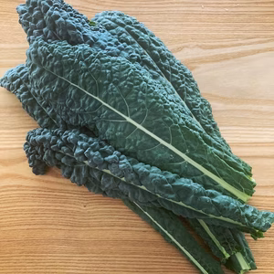 冬のイタリア野菜 カーボロネロ 約500g