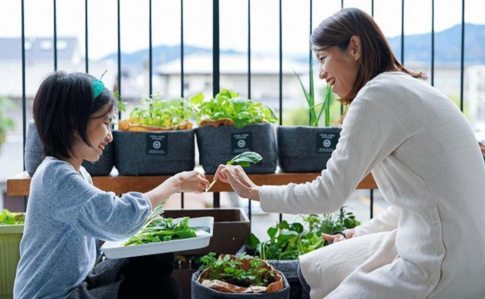 生ごみを土へ還す「コンポスト」で、農家さんと一緒にベランダ菜園始め