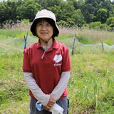 八城敦子 | かえるわーかーず