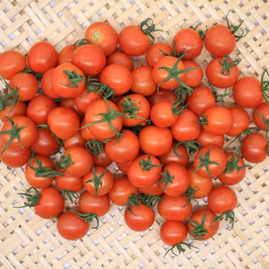 ミニトマト(シンディースイート)