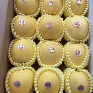 【限定】滝沢市が誇るプレミアム品種「はるか」