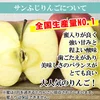 2020年産 信州りんご サンふじ【家庭用約2～10㎏】