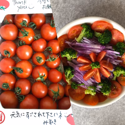 みんなの投稿の画像