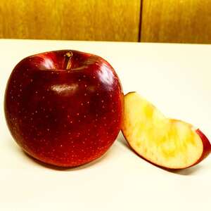 ポケマル 果物の通販 全国の農家から産地直送で取り寄せできるポケットマルシェ