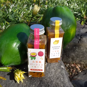 【エスニックサラダに❗】青パパイヤとパッション・ジンジャー加工品セット