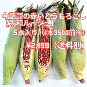 今TV等で話題の赤いとうもろこし【大和ルージュ】5本入り¥2,199（送料別)