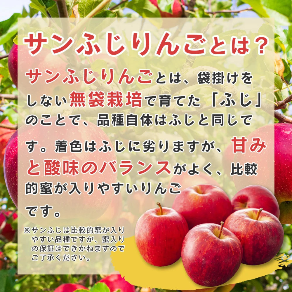 送料無料】訳あり規格外 山形県産 サンふじ りんご 5kg (10～20玉入