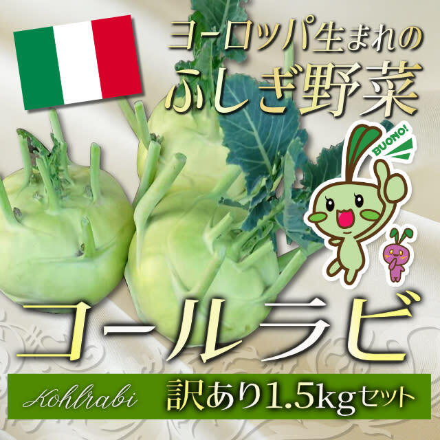 訳あり ヨーロッパ野菜 コールラビ 1 5kgセット 農家漁師から産地直送の通販 ポケットマルシェ