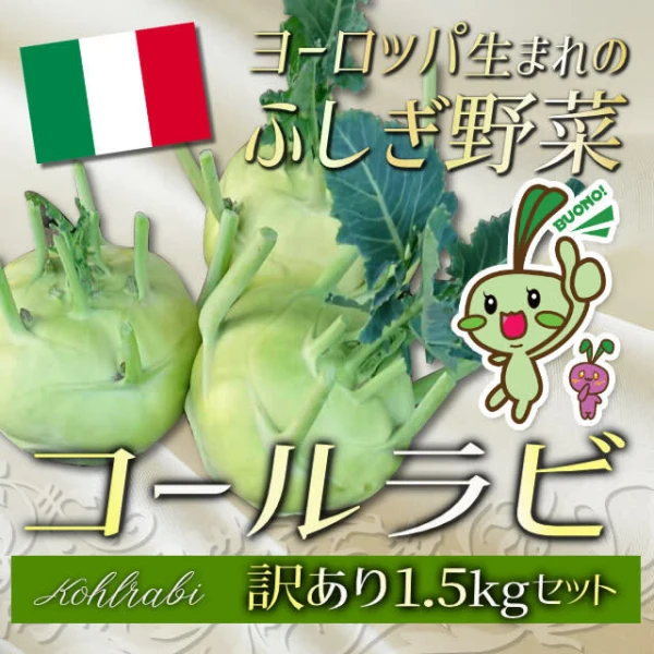 【訳あり！】ヨーロッパ野菜『コールラビ（1.5kgセット）』