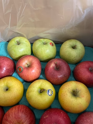 みんなの投稿の画像